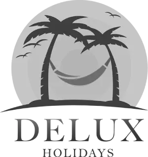 Delux Holidays logo designed by Weblook, a Web Design Company in Sri Lanka