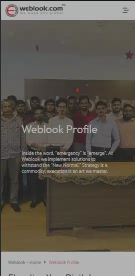 Weblook team group photo with a tagline emphasizing resilience and expertise in digital solutions.