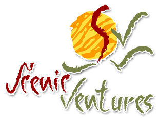 Weblook International | Software Development | Digital Marketing | Web Designing | Web Solutions for the Travel & Tourism Industry