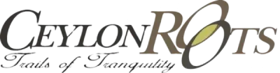 Weblook International | Software Development | Digital Marketing | Web Designing | Weblook - Home
