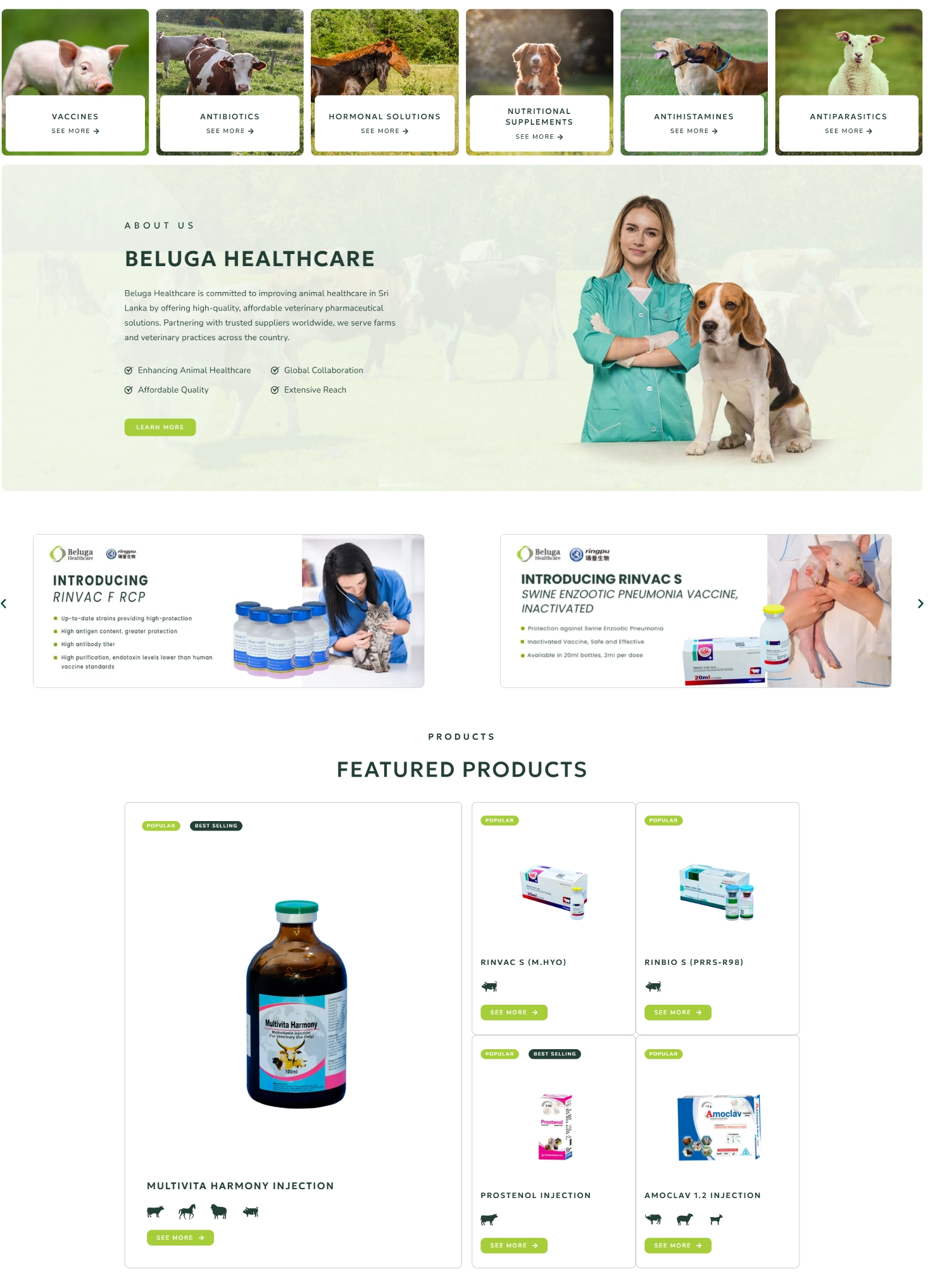Weblook International | Software Development | Digital Marketing | Web Designing | Web Solutions for the Healthcare Industry