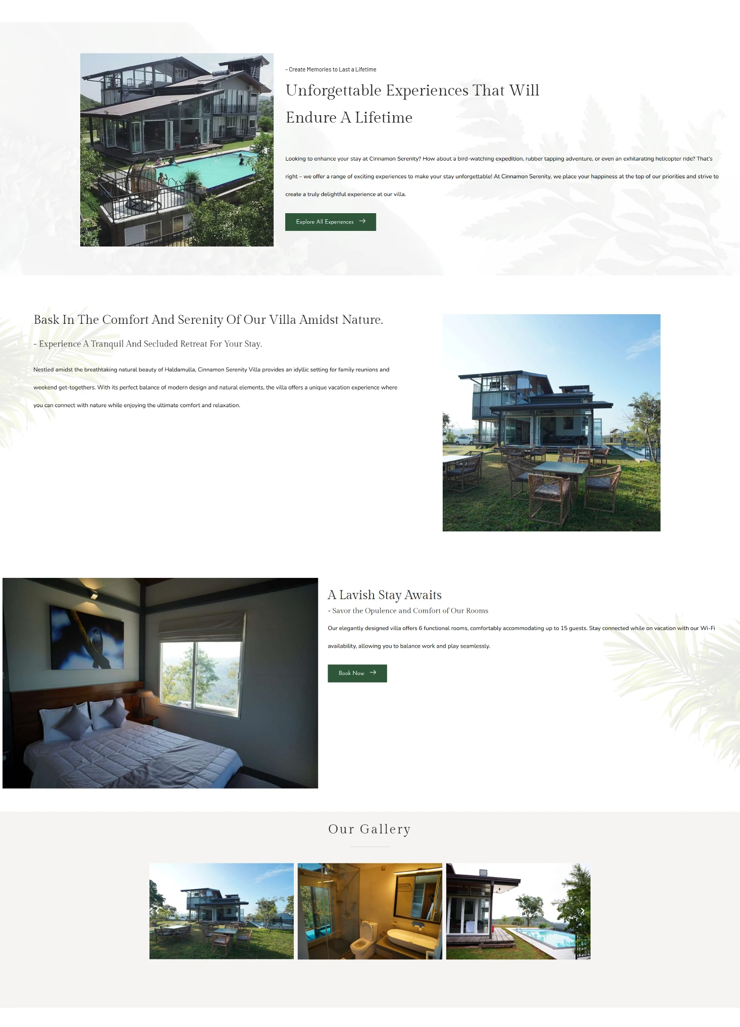 Weblook International | Software Development | Digital Marketing | Web Designing | Web Solutions for the Hospitality Industry