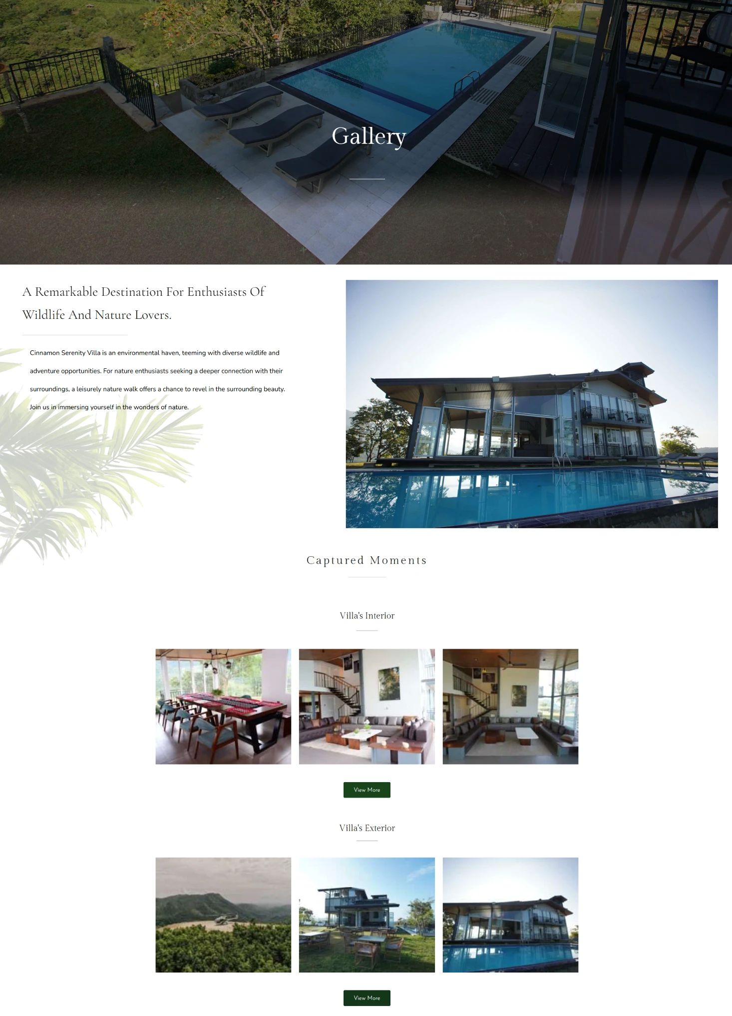 Weblook International | Software Development | Digital Marketing | Web Designing | Web Solutions for the Hospitality Industry