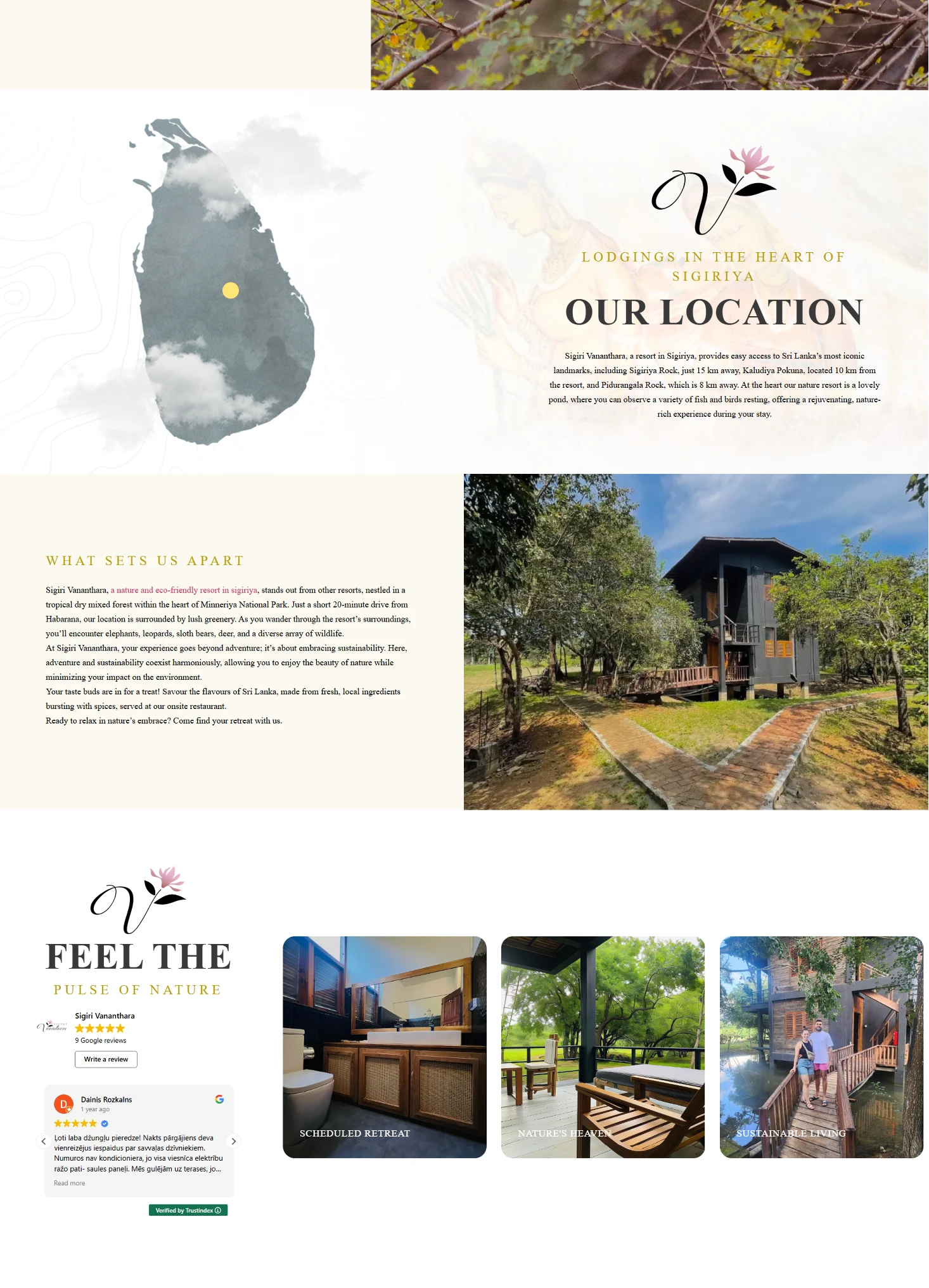 Weblook International | Software Development | Digital Marketing | Web Designing | Web Solutions for the Hospitality Industry