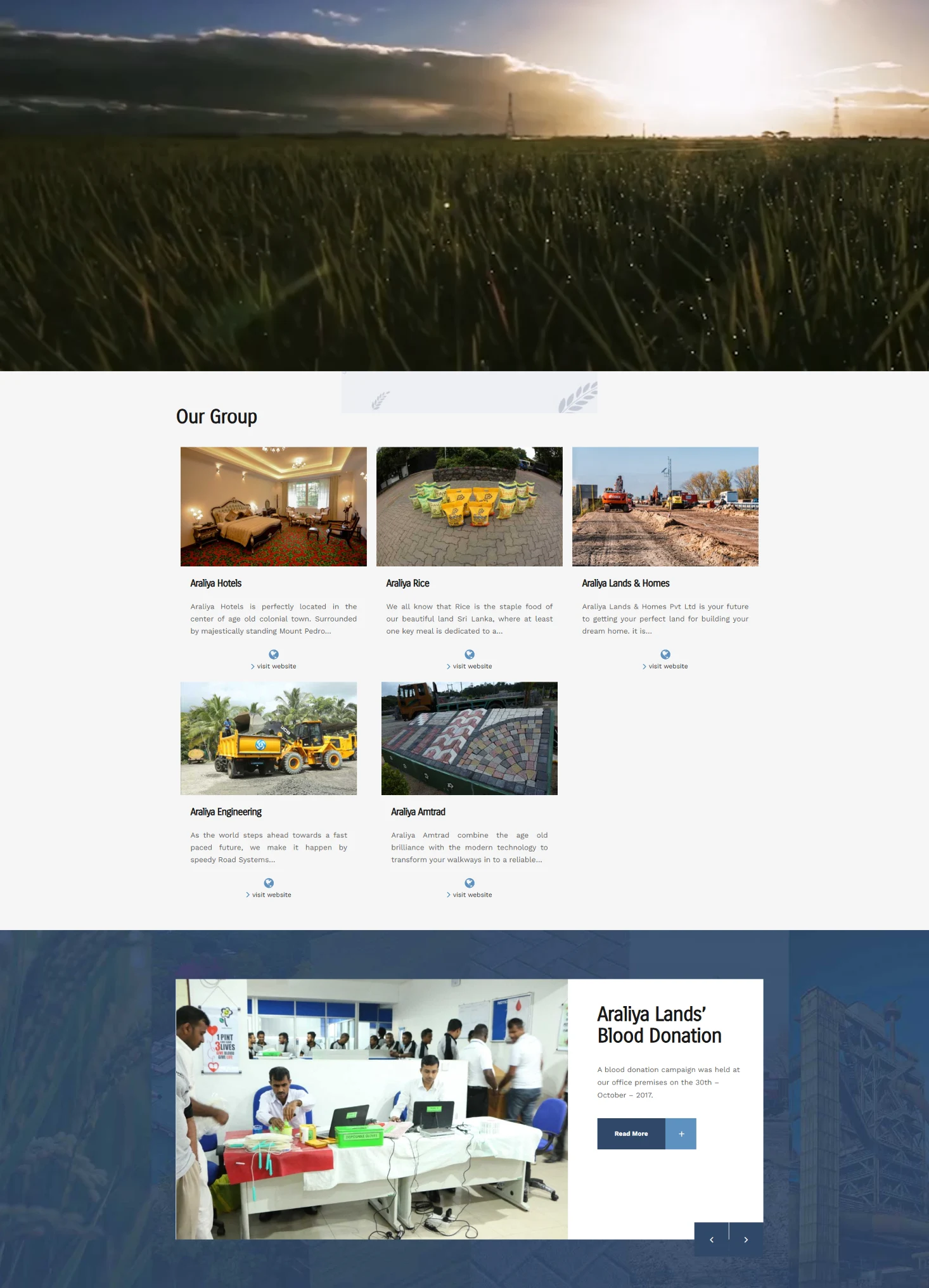 Weblook International | Software Development | Digital Marketing | Web Designing | Web Solutions for the Real Estate Industry