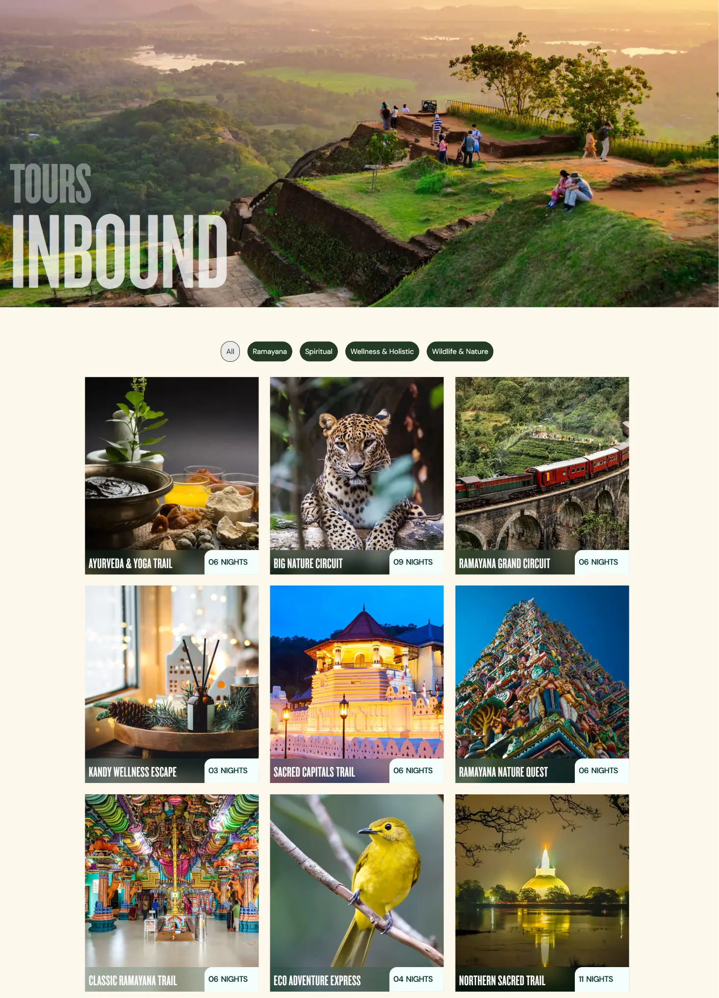 Weblook International | Software Development | Digital Marketing | Web Designing | Web Solutions for the Travel & Tourism Industry