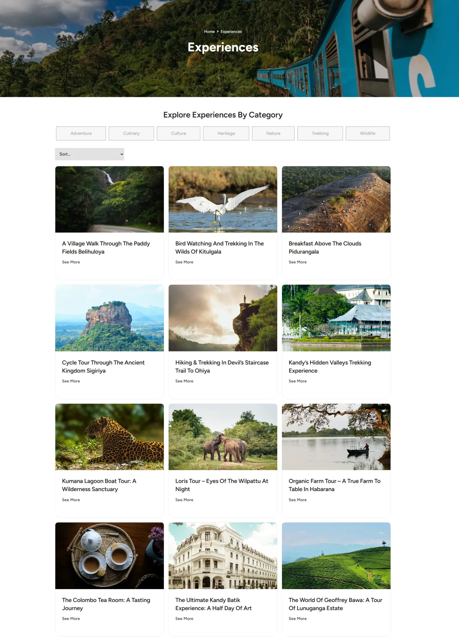 Weblook International | Software Development | Digital Marketing | Web Designing | Web Solutions for the Travel & Tourism Industry