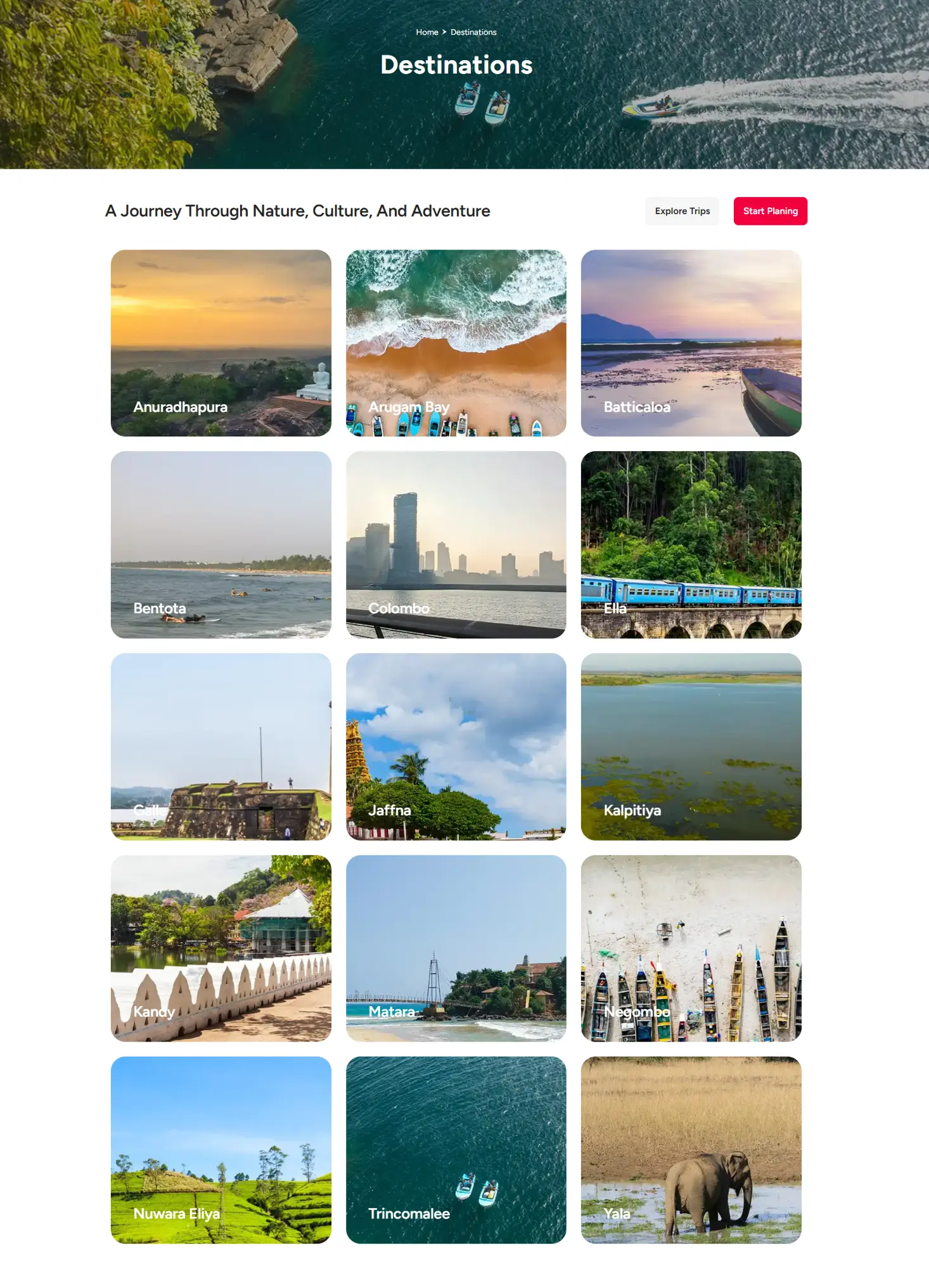 Weblook International | Software Development | Digital Marketing | Web Designing | Web Solutions for the Travel & Tourism Industry